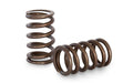 Kelford TOYOTA 3RZ-FE RACING VALVE SPRING SET