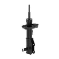 OESPECTRUM PREMIUM STRUT