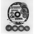 Differential Bearing Kit
