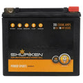 310 CRANK AMPS 18AMP HOURS AGM BATTERY