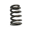 1.105 Valve Springs - Ovate Beehive (16)