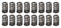 1.105 Valve Springs - Ovate Beehive (16)