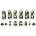 ~(3 lbs. 8X6X4)~ Premium Spring Kit 6 Springs For 94-98 Dodge Ram 2500/3500 Cummins 12 Valve Engine With a P7100 Injection Pump Pacbrake