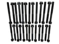 Engine Cylinder Head Bolt Set - 14-10092-01