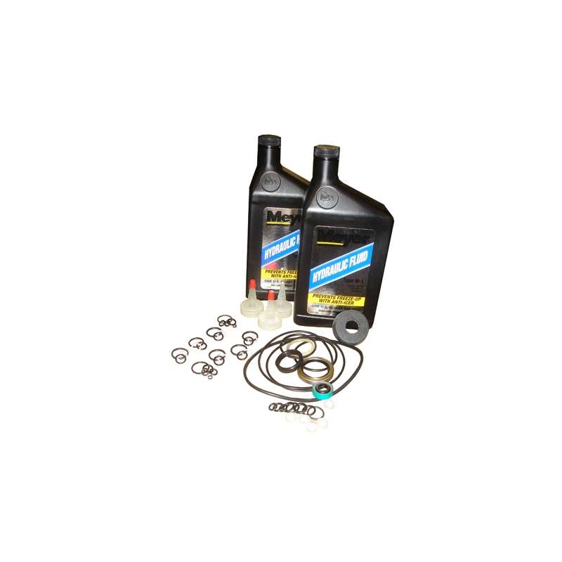 KIT: MASTER SEAL V66