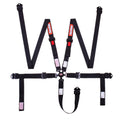 RaceQuip Camlock 5 Point 2In Auto Racing Harness Set / Pull-Down Lap / SFI 16.1 Seat Belt Set- Black