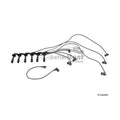SPARK PLUG WIRE SET