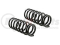 ACURA MDX 0306/ HONDA PILOT 0308 COIL SPRING SET