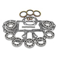Transfer Case Bearing and Seal Overhaul Kit