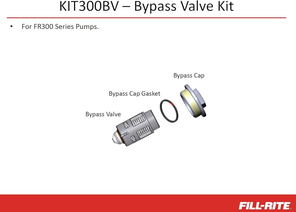 BULK 300F7735 CHECK VALVE KIT (5)