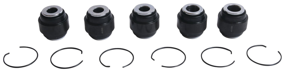 All Balls Racing Rear Ind. Suspension Kit
