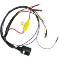 WIRING HARNESS, JOHNSON/EVINRUDE
