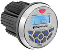 Planet Audio gauge