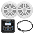 BOSS AUDIO gauge