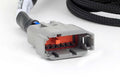 Haltech NEXUS V8 Junior Timer (EV1) Injector Primary Breakout (Plug and Play w/HT-186200)