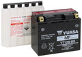 Yuasa YT12B-BS Maintenance Free 12-Volt AGM Battery w/Bottle