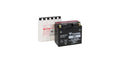 Yuasa YT12B-BS Maintenance Free 12-Volt AGM Battery w/Bottle