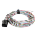 J3 CONNECTOR AND HARNESS