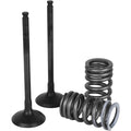 Wiseco 13-15 KTM 350SX-F Steel Valve Kit