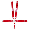 5-PT Harness System LL P/U B/I Ind 62in