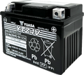 Yuasa YTZ4V Maintenance Free AGM 12-Volt Battery