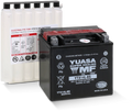 Yuasa YTZ4V Maintenance Free AGM 12-Volt Battery