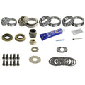 DIFFERENTIAL REBUILD KIT