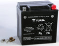 12 V FACTORY ACTIVATED AGM BATTERY YIX30L
