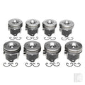 FO 6.0L DIESEL V8 T REDUCED .010IN/0.25MM CH(W/RINGS)(.020)PISTON WITH RINGS