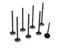 BLOX Racing High Compression Exhaust Valve Set for D-series SOHC VTEC (D16Z-Y)