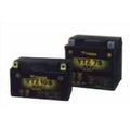 Yuasa YTX9 Maintenance Free AGM 12-Volt Battery
