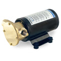 GENERAL PURPOSE PUMP FIP F3 24V 9 G