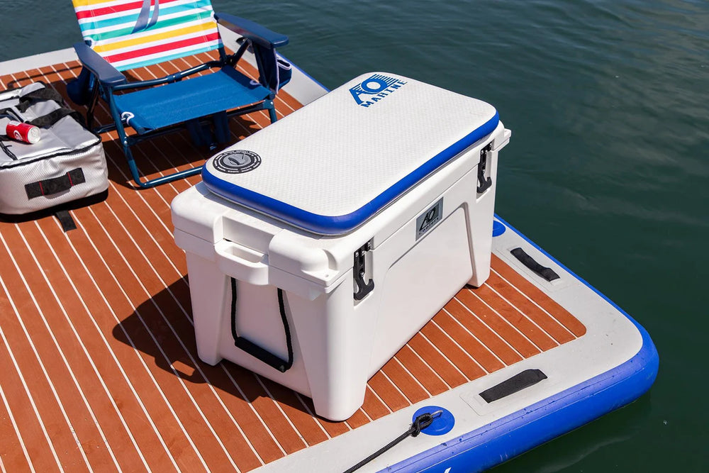 AO COOLERS blue auto part