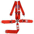 SFI 16.1 CAM-LOCK HARNESS 3' PULL D