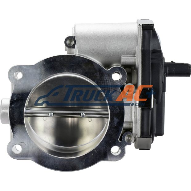 STANDARD IGN throttle body