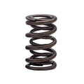 SINGLE SPRING