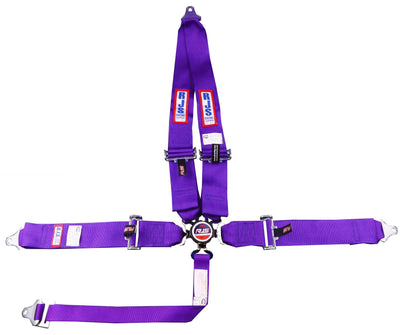 SFI 16.1 CAM-LOCK HARNESS 3' PULL D