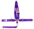 SFI 16.1 CAM-LOCK HARNESS 3' PULL D