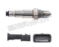 Walker Products Inc. - auto part