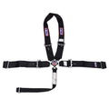 SFI 16.1 CAM-LOCK HARNESS 3' PULL D