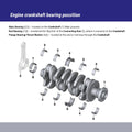 ACL Ford/Mazda 2.3L Ecoboost (No Notch) Standard Size High Performance Rod Bearing Set