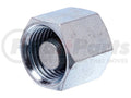 HYDRAULIC ADAPTER-INT L TO INT L