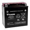 Yuasa YTX14L-BS Maintenance Free AGM 12-Volt Battery w/Bottle