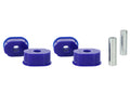 Leaf Spring and Shackle Bushing Kit