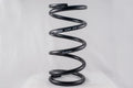 Conventional Spring 11in x 5.5in x 400lb