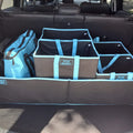 COLLAPSIBLE STORGANIZER-TOTES COMBO