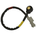 STANDARD IGN auto part