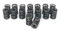 COMP Cams Valve Springs For 984-975