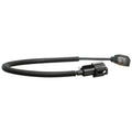DELPHI auto part