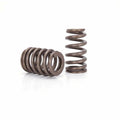 Perf Street 1.240" Springs 1.70" Inst Ht